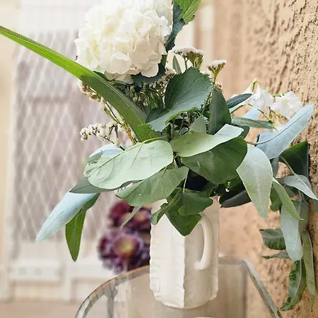 Splendide Parking Clim Terrasse アパート サナリー・シュル・メール