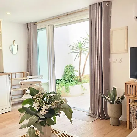 Splendide Parking Clim Terrasse 아파트 *